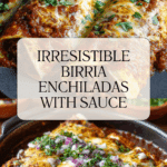 Birria Enchiladas Recipe
