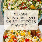 Rainbow Orzo Salad Bowl Recipe