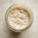 Easy Beginner Sourdough Starter Recipe