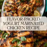 Yogurt Marinated Chicken Recipe