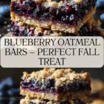 Blueberry Oatmeal Bars – A Wholesome Treat! Recipe