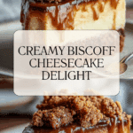 Biscoff Cheesecake Recipe