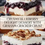 Blueberry Delight Recipe