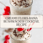 Flora-Bama Bushwacker Recipe