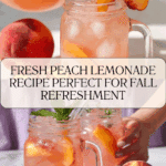 How To Make Peach Lemonade Recipe