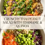 Crunchy Thai Peanut Salad Recipe