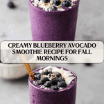 Blueberry Avocado Smoothie Recipe