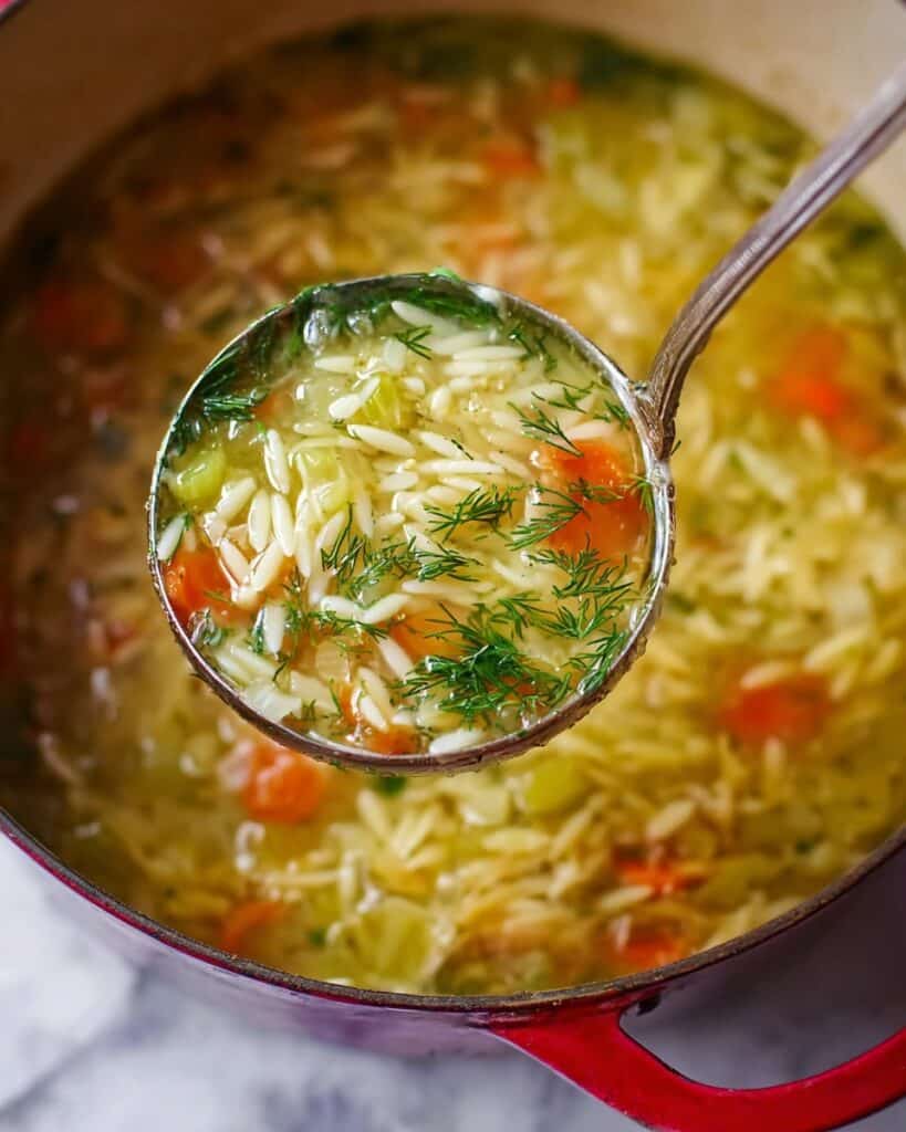Easy Orzo, Leek and Dill Soup Recipe
