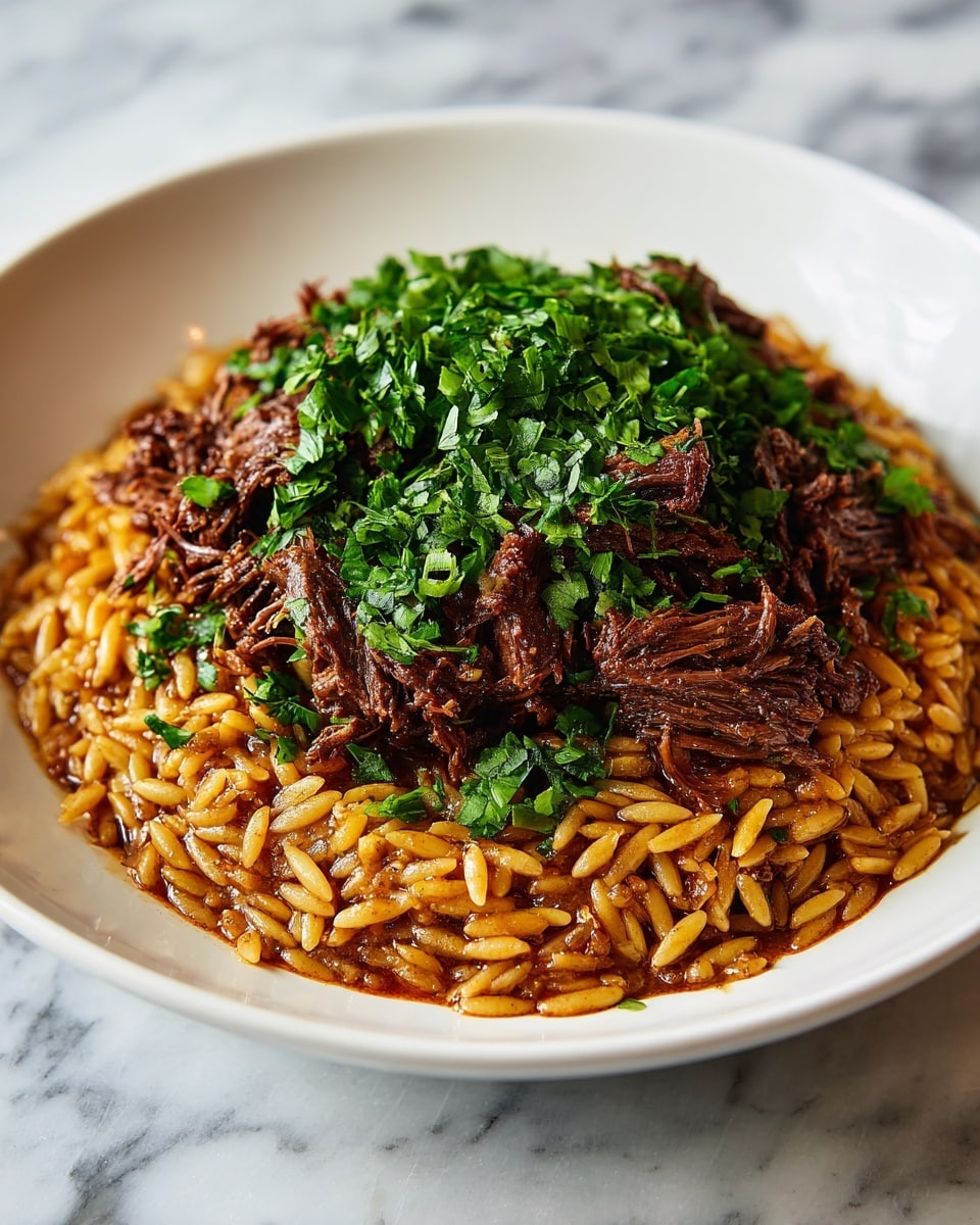 A white plate shows a dish with two main layers: the bottom layer is made of golden orzo pasta soaked in a rich, brown broth, giving it a shiny texture, and the top layer has thick pieces of dark brown braised beef, shredded slightly to show its tender texture. Fresh chopped green herbs are sprinkled generously over the beef, adding bright color contrast. The dish sits on a white marbled surface, enhancing the warm tones of the food. photo taken with an iphone --ar 4:5 --v 7
