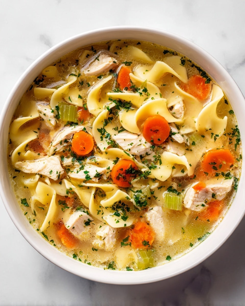 Slow Cooker Chicken Noodle Soup Recipe